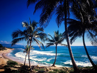 Deze afbeelding heeft een leeg alt-attribuut; de bestandsnaam is hawaii-beach-safety.jpg
